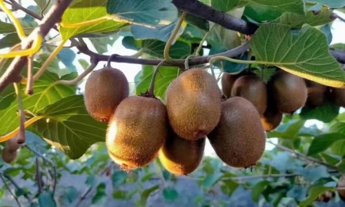 【三岁孩子不好好吃饭怎么办】3岁孩子不好好吃饭怎么办呢视频 - 3岁孩子不好好吃饭怎么办呢网